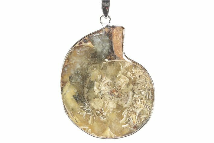Fossil Ammonite Pendant - Million Years Old #252560